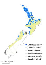 Deparia petersenii subsp. congrua distribution map based on databased records at AK, CHR & WELT.
 Image: K.Boardman © Landcare Research 2018 CC BY 4.0